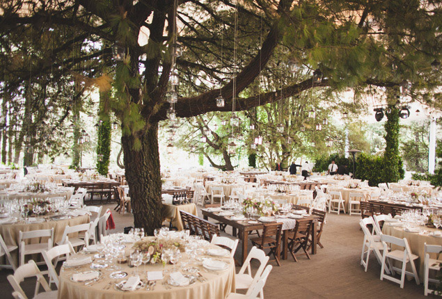 Cape Town Wedding Venue Forest Inspiration